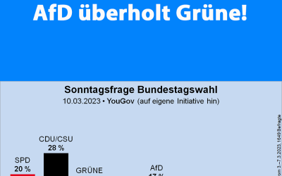 Umfrage: AfD überholt Grüne