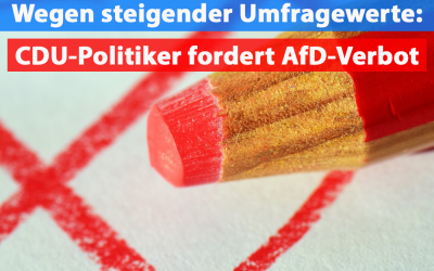 CDU-Politiker fordert AfD-Verbot