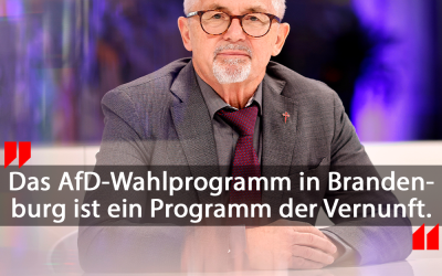 AfD-Wahlprogramm in Brandenburg: Remigrationsoffensive gefordert