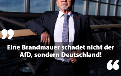 Brandmauer schadet Deutschland