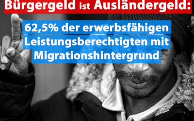 Bürgergeld ist Ausländergeld!