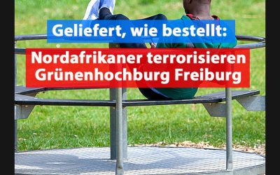 Geliefert, wie bestellt: Afrikaner terrorisieren Freiburg