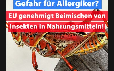 EU erlaubt Beimischung von Insekten in Nahrungsmitteln