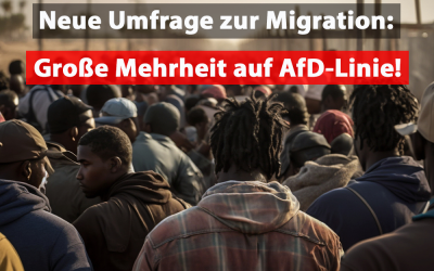 Migration: Mehrheit der Deutschen befürwortet AfD-Linie