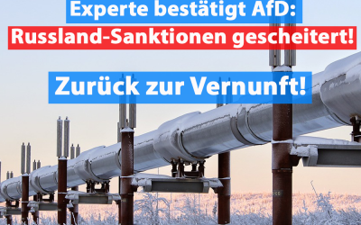 Experte: Sanktionen gegen Russland sind gescheitert