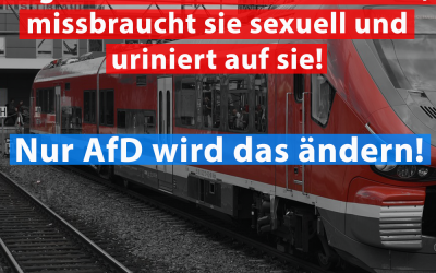 Migrant attackiert Schaffnerin – und uriniert auf sie!