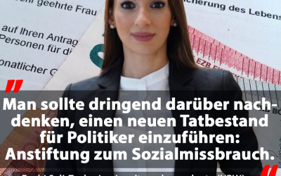 Anstiftung zum Sozialmissbrauch als Tatbestand einführen!