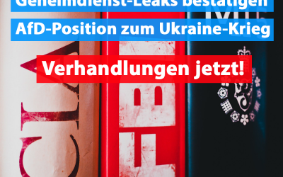 Geleakte Geheimdienstberichte geben AfD-Position recht