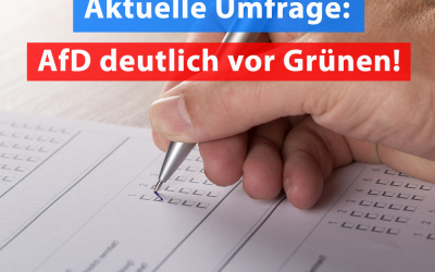 Umfrage: AfD klar vor Grünen