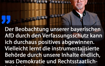 Verfassungsschutz kann von AfD lernen!