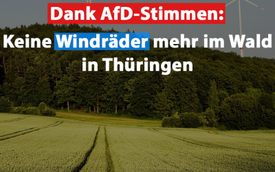 AfD-Stimmen erschweren Bau von Windrädern im Wald